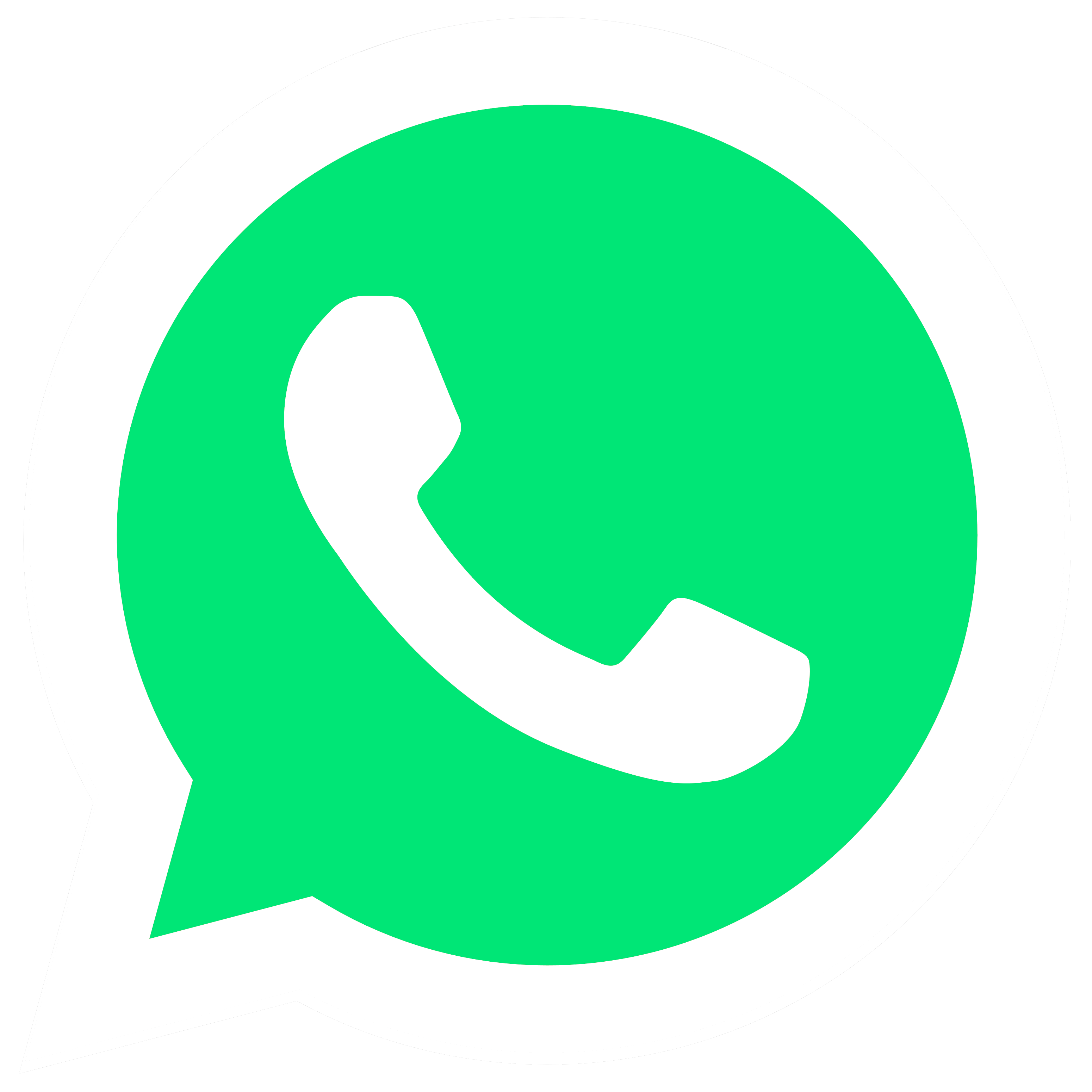 Whatsapp Booking